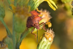 489692137_9591642117570354_5741711702241706758_n